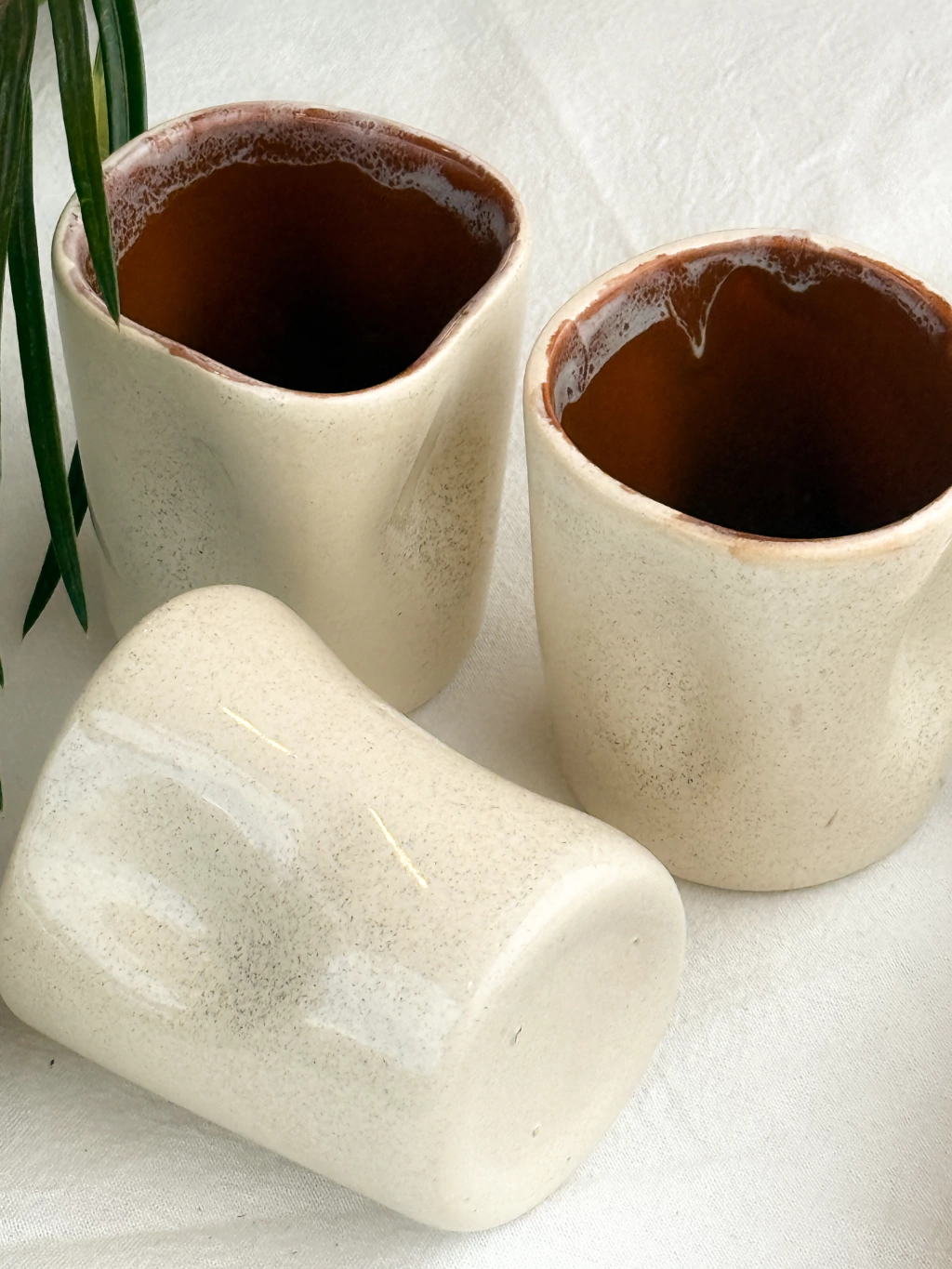 Taza bruma